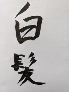 PXL_20210201_094332971.jpg